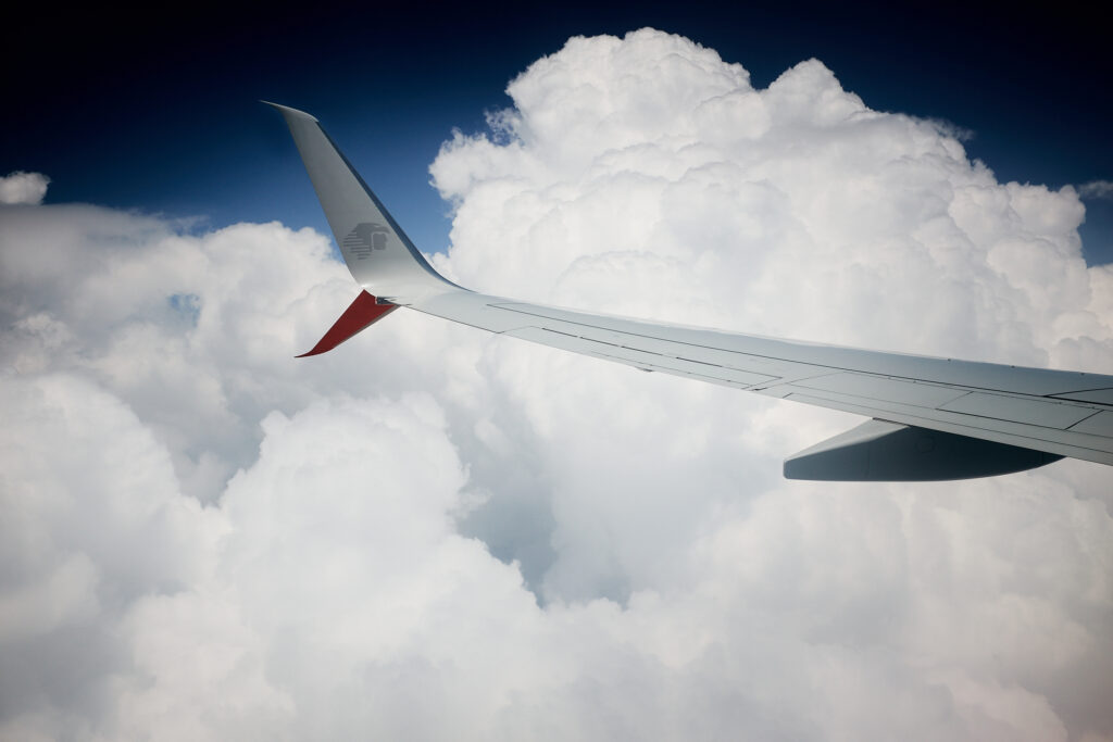 homeward bound