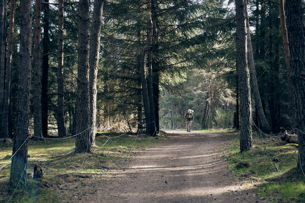 lone walker on Chemin Podiensis