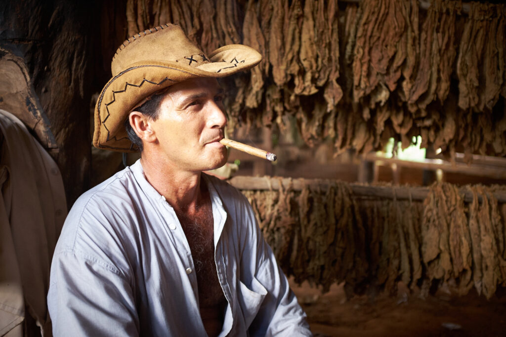 Cuban cigar maker