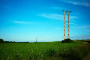 Marsolan Marides fields